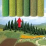 Busch 7272 (A) Large Grass Mat (60 x 40")(150 x 100cm) Flowered Field