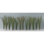JTT 95536 (O) CATTAILS 1-1/2" tall, 24/pk