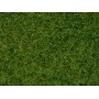 NOCH 07102 (A) Static Grass - Wild Grass, Light Green, 6 mm, 50 g bag