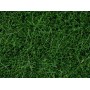 NOCH 07106 (A) Static Grass - Wild Grass, Dark Green, 6 mm, 50 g bag