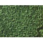NOCH 07167 (A) Leaf Foliage Set - Olive, Light Green, Mid-Green, Dark Green