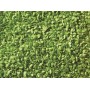 NOCH 07167 (A) Leaf Foliage Set - Olive, Light Green, Mid-Green, Dark Green