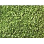 NOCH 07142 (A) Leaves - light green, 50 g bag