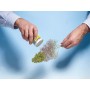 NOCH 07142 (A) Leaves - light green, 50 g bag