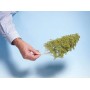 NOCH 07142 (A) Leaves - light green, 50 g bag