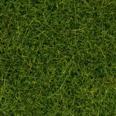 NOCH 07094 (A) 100g in a tub - Wild Grass (static) Dark Green, 6 mm