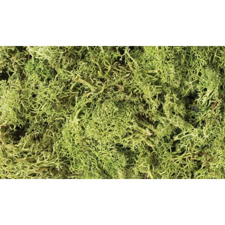 Woodland Scenics L162 (A) Lichen - 1.5qts 1.4L -- Light Green