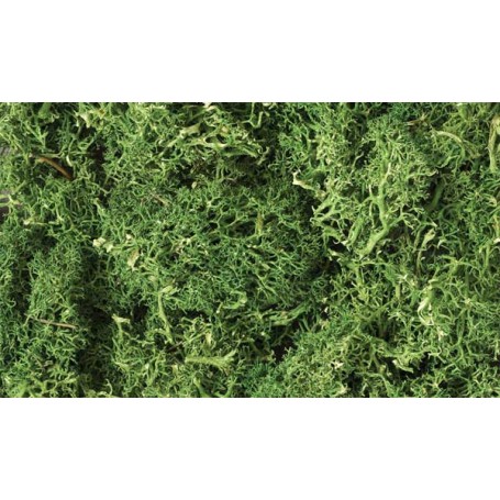 Woodland Scenics L163 (A) Lichen - 1.5qts 1.4L -- Medium Green