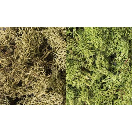 Woodland Scenics L167 (A) Lichen - 3qts 2.84L -- Light Green Mix