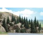 BUSCH 6469 (A) Trees-Conifers - Silver Fir 1-5/8 - 3-5/8" 4-9cm