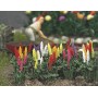 BUSCH 1218 (HO) Garden Lupins pkg(16)