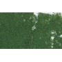 Woodland Scenics F53 (A) Foliage - Dark Green