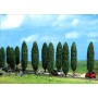 BUSCH 6229 (HO) Poplar Trees (10 pack)