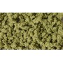 Woodland Scenics FC1644 (A) Bushes - 32oz, 907g Shaker -- Olive Green