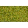 NOCH 08310 (A) Static - Scatter Grass “Summer Meadow”