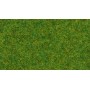 NOCH 08314 (A) Static - Scatter Grass “Ornamental Lawn” - Medium Fibers