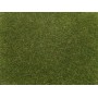 NOCH 08364 (A) Static - Scatter, green - 20g, 4mm