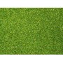 NOCH 08371 (A) Scatter Material -- Light Green -- 200g tub