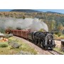 Märklin 37983 (HO) “Berkshire” (SP) 2-8-4 steam locomotive , Era III