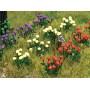 BUSCH 8109 (N) Dahlias Kit pkg(120)