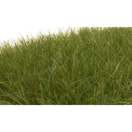 Woodland Scenics FS625 (A) Field System -- Static Grass - Dark Green 1/2" 12mm Fibers