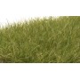 Woodland Scenics FS626 (A) Field System -- Static Grass - Medium Green 1/2" 12mm